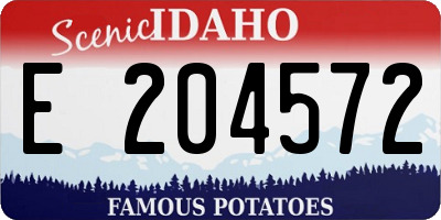 ID license plate E204572