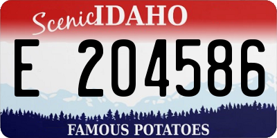 ID license plate E204586