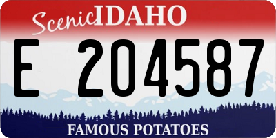 ID license plate E204587