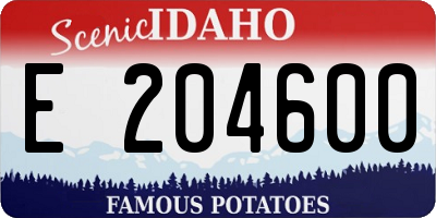 ID license plate E204600