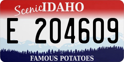 ID license plate E204609