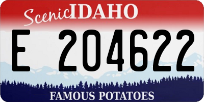 ID license plate E204622