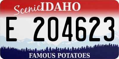 ID license plate E204623