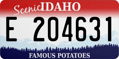 ID license plate E204631