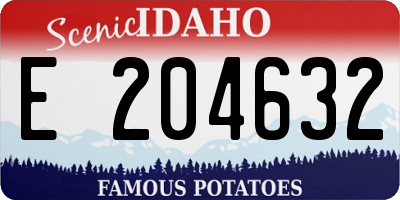 ID license plate E204632