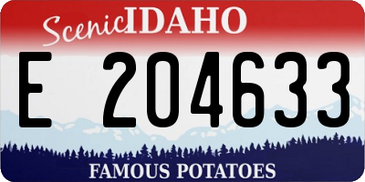 ID license plate E204633