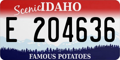 ID license plate E204636