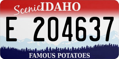ID license plate E204637