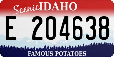 ID license plate E204638