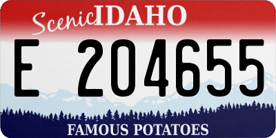 ID license plate E204655