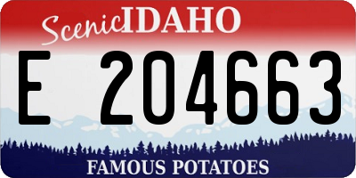 ID license plate E204663