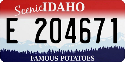 ID license plate E204671