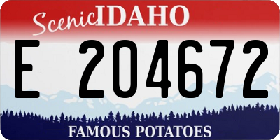 ID license plate E204672