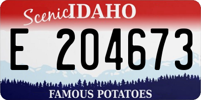 ID license plate E204673
