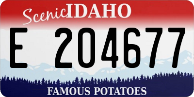 ID license plate E204677