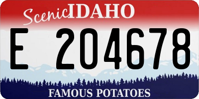 ID license plate E204678