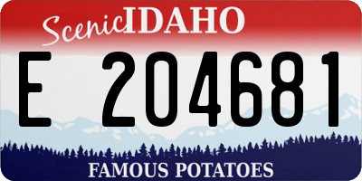 ID license plate E204681