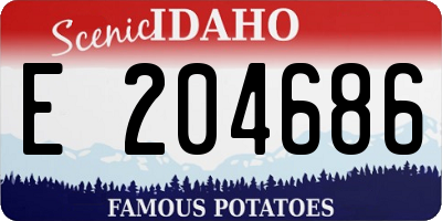 ID license plate E204686