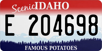 ID license plate E204698