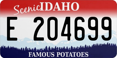 ID license plate E204699