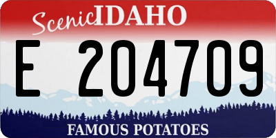 ID license plate E204709