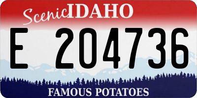 ID license plate E204736