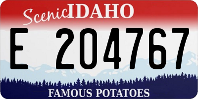 ID license plate E204767