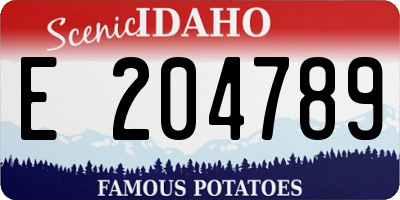 ID license plate E204789