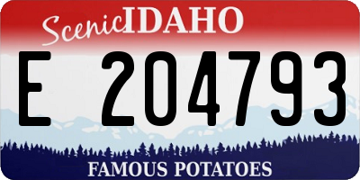 ID license plate E204793