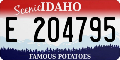 ID license plate E204795