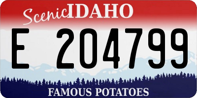 ID license plate E204799
