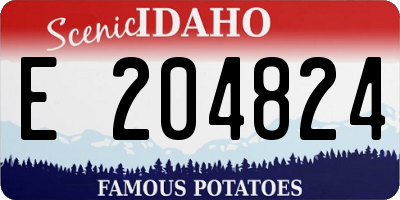 ID license plate E204824