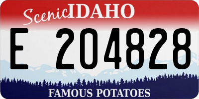 ID license plate E204828