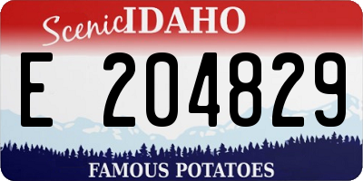ID license plate E204829