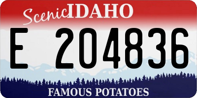 ID license plate E204836