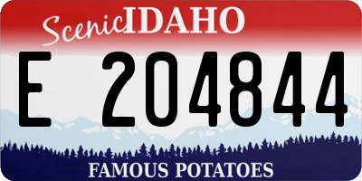 ID license plate E204844