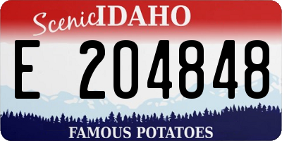 ID license plate E204848