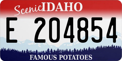 ID license plate E204854