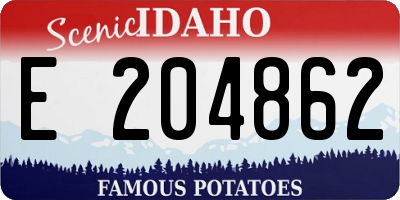 ID license plate E204862