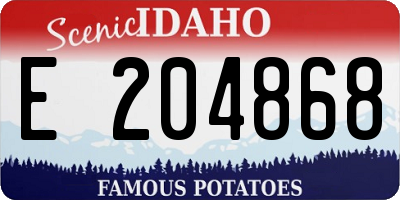 ID license plate E204868