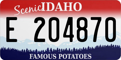 ID license plate E204870