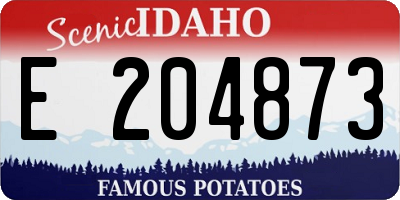 ID license plate E204873