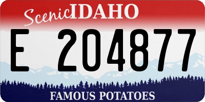 ID license plate E204877