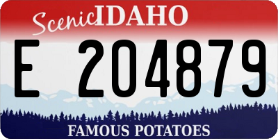 ID license plate E204879