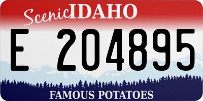 ID license plate E204895