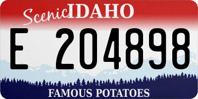 ID license plate E204898