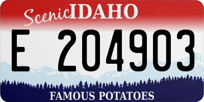 ID license plate E204903