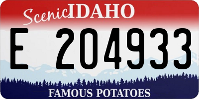 ID license plate E204933