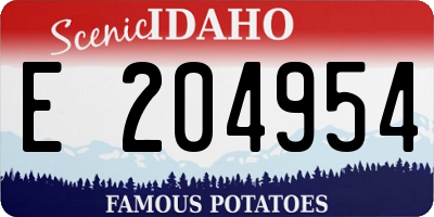 ID license plate E204954