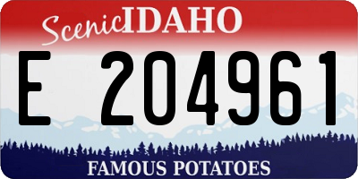 ID license plate E204961